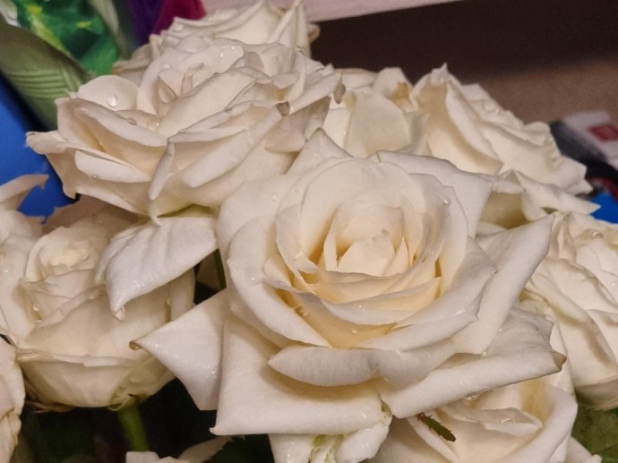 Рынок лихорадит перед 1 сентября: россияне тратят на цветы больше, чем раньше Рынок лихорадит перед 1 сентября: россияне тратят на цветы больше, чем раньше