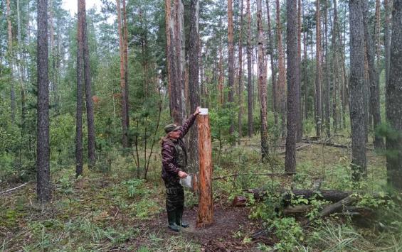 В Курской области за неделю оштрафовали четырёх браконьеров