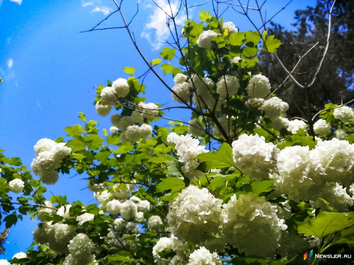 В воскресенье температура в Кирове поднимется до +24 В воскресенье температура в Кирове поднимется до +24