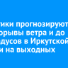 Синоптики прогнозируют снег, порывы ветра и до -20 градусов в Иркутской области на выходных