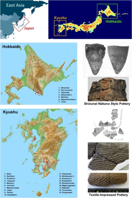 Древние рыболовные сети восстановили по отпечаткам на керамике