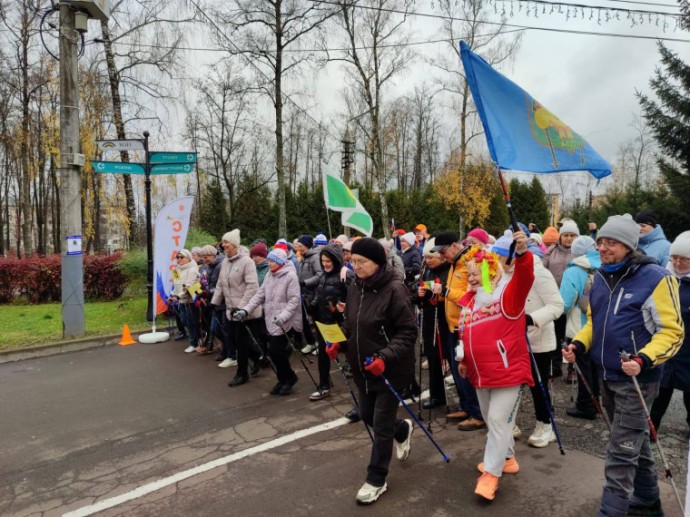 В Туле прошел фестиваль северной ходьбы «Живи по-тульски!»