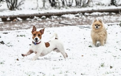 Синоптик предрёк появление устойчивого снежного покрова в первой декаде декабря