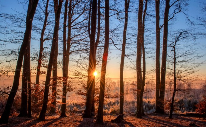 Воздух на Сахалине прогреется до +8 градусов: подробный прогноз погоды для всех районов