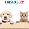 ФНП рассказала про юридическую безопасность сделок с домашними животными