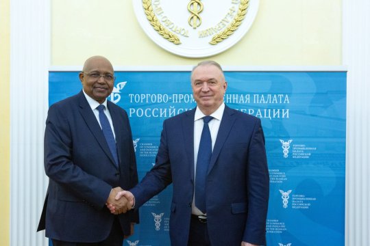 Президент ТПП РФ и Посол Республики Нигер обсудили развитие торгово-экономического сотрудничества