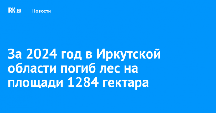 За 2024 год в Иркутской области погиб лес на площади 1284 гектара
