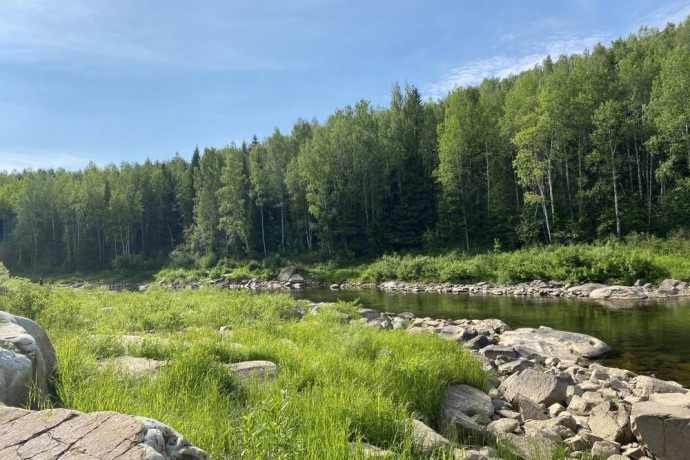 Прокуратура Пермского края продолжает оспаривать изменения в статусе ООПТ «Ладейный Лог»