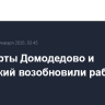 Аэропорты Домодедово и Жуковский возобновили работу