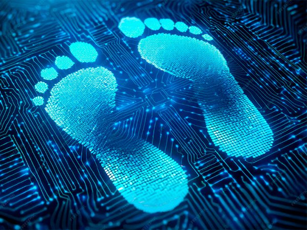 Генпрокурор сообщил о создании в России базы цифровых следов кибермошенников Генпрокурор сообщил о создании в России базы цифровых следов кибермошенников