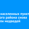 В двух населенных пунктах Братского района снова заметили медведей