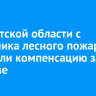 В Иркутской области с виновника лесного пожара взыскали компенсацию за тушение