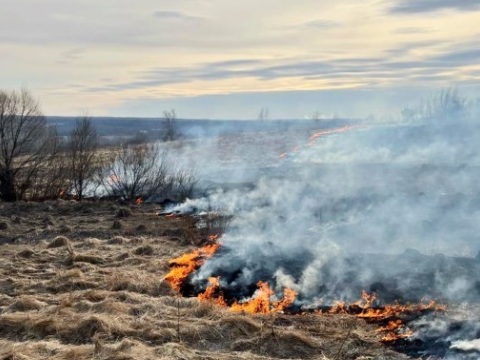 В Мордовии выгорело 65 гектаров растительности из-за возгораний сухой травы