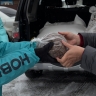 «Корм и внимание»: как «Новые люди» в Горно-Алтайске помогают бездомным животным