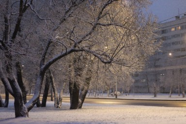 Петербургские садовники перешли на зимний режим уборки после первых снегопадов