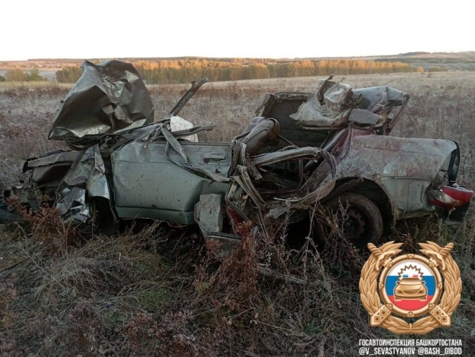 В Башкирии в ДТП с лошадью погибли два парня и девушка
