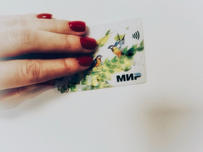 Хозяйственная костромская семья купила на украденные деньги продукты и сковородку Хозяйственная костромская семья купила на украденные деньги продукты и сковородку