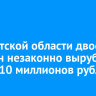 В Иркутской области двое мужчин незаконно вырубили лес на 10 миллионов рублей