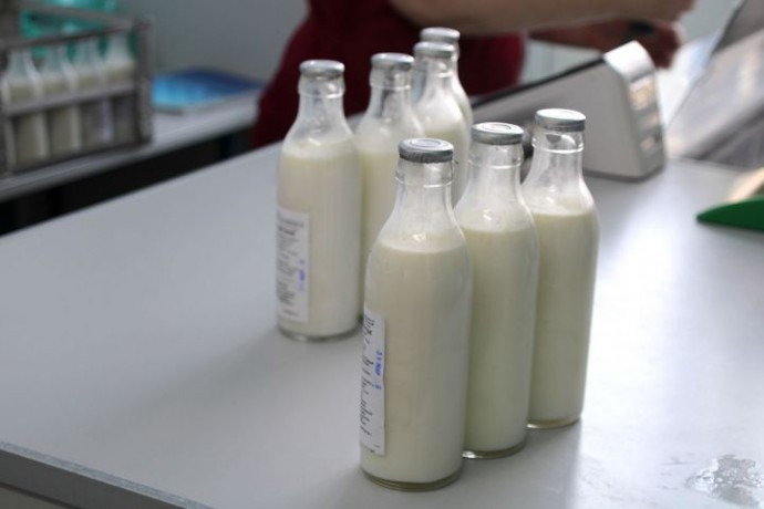 Молочку в магазинах будут продавать по новым правилам