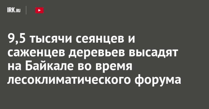 9,5 тысячи сеянцев и саженцев деревьев высадят на Байкале во время лесоклиматического форума