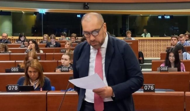 ЕС мешает иностранному вмешательству в свои дела, а Грузию за это критикует