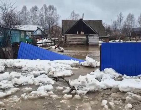 Появилась информация о ситуации с паводком в Архангельском районе Башкирии