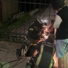 Новомосковские пожарные спасли собаку, застрявшую в заборе