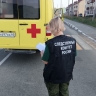 Следком ищет свидетелей смертельного ДТП в Яблочном, в котором погибла 8-летняя девочка