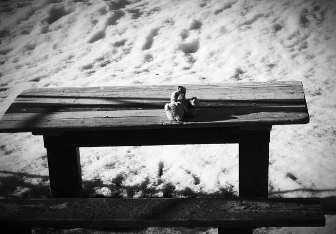 Педофил из Костромы попросил суд отпустить его домой