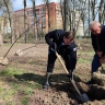 В Рогожинском парке появилось 150 новых деревьев и 50 молодых кустарников