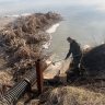 Росприроднадзор устанавливает причины массовой гибели рыбы в пруду в Мордовии