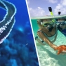 Осторожно, Хургада! Кто скрывается в глубинах Красного моря и как избежать встречи