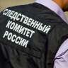 В Башкирии внука арестовали за убийство бабушки и дедушки