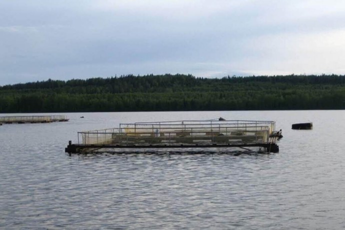 Комиссия отказала в проекте нового рыбоводного участка в Лахденпохском районе Комиссия отказала в проекте нового рыбоводного участка в Лахденпохском районе