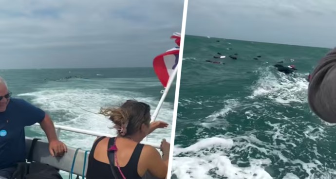 Чемоданы туристов оказались в море во время поездки на пароме в Таиланде: «Экипаж рассмеялся»