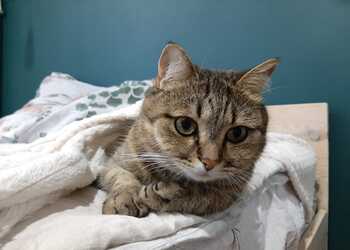 Рыбы находятся на грани взрыва, Девам нельзя менять планы