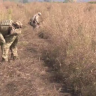 Пиротехники МЧС обезвредили более 14 тысяч боеприпасов в Курской области
