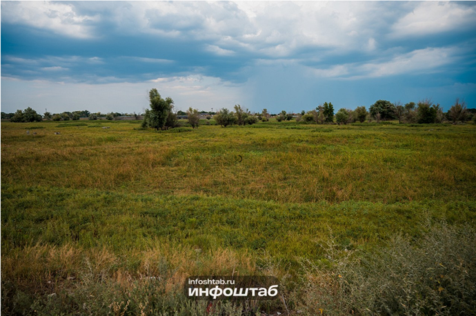 Под Астраханью хотят построить завод по переработке кормовой люцерны Под Астраханью хотят построить завод по переработке кормовой люцерны