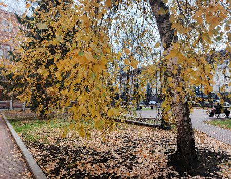 Синоптики рассказали, какая погода ждет жителей Башкирии в начале рабочей недели