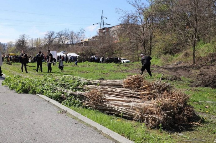 На набережной Терека во Владикавказе появилась «Аллея молодежи»