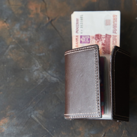 Вернуть излишне уплаченный штраф или госпошлину можно на портале госуслуг