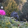 Когда в Астрахань придет резкое похолодание 