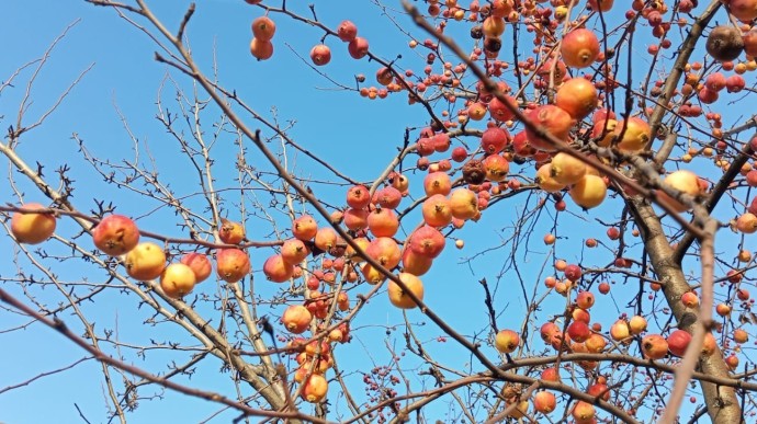 На Башкирию обрушится ледяной дождь