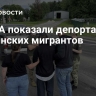 В США показали депортацию украинских мигрантов