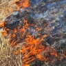 Новгородские пожарные девять раз выезжали тушить горящую траву