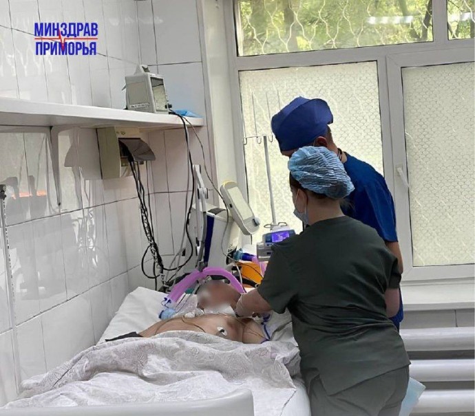 В Приморье водитель из-за укуса шершня потерял сознание, а затем влетел в столб