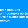 В Иркутске полиция проводит проверку по факту инцидента с выпавшим из окна щенком