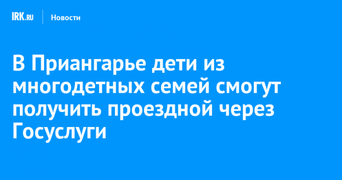 В Приангарье дети из многодетных семей смогут получить проездной через Госуслуги