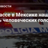 На трассе в Мексике нашли шесть человеческих голов