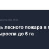 Площадь лесного пожара в горах Ялты выросла до 6 га